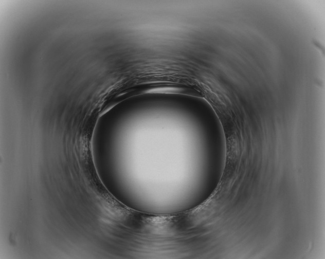 X0000094920184200711291320