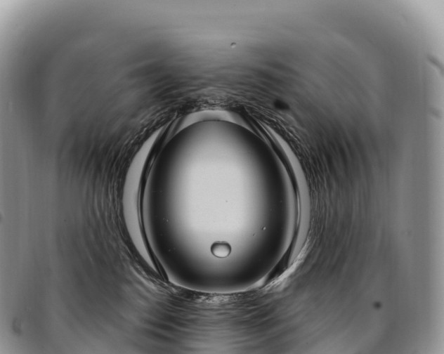 X0000094920186200711291321