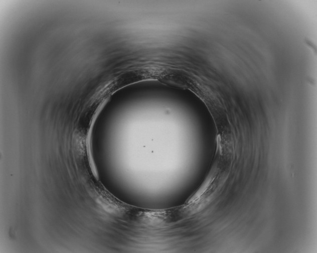 X0000094920188200711291321