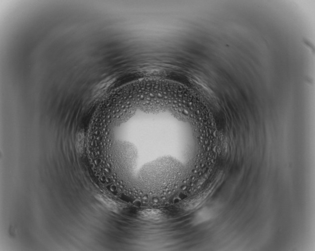 X0000094920189200711291321