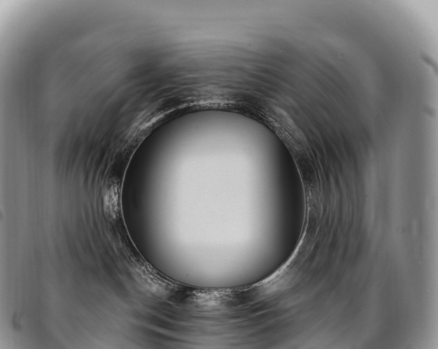 X0000094920190200711291321