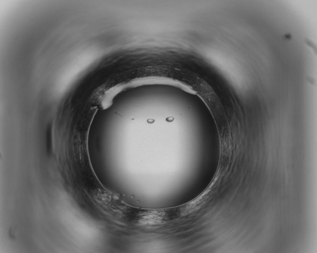 X0000094920191200711291321