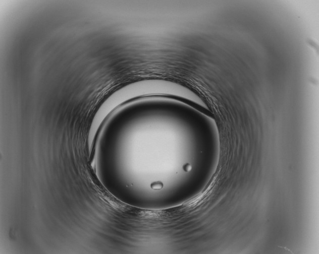 X0000094920192200711291321
