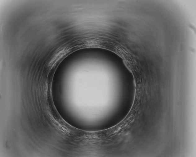 X0000094920194200711291320