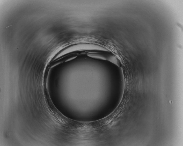 X0000094920196200711291320