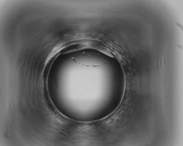 X0000094920198200711291320