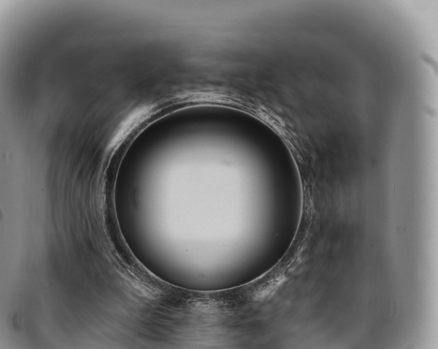 X0000094920199200711291320