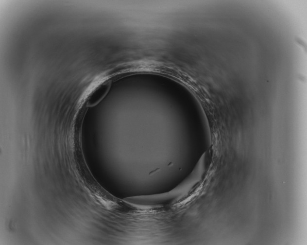 X0000094920200200711291320