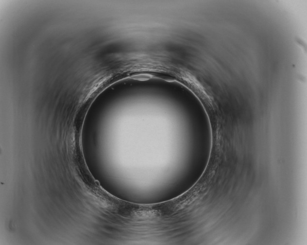 X0000094920202200711291320