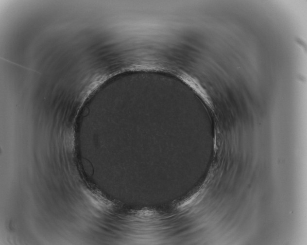 X0000094920204200711291320