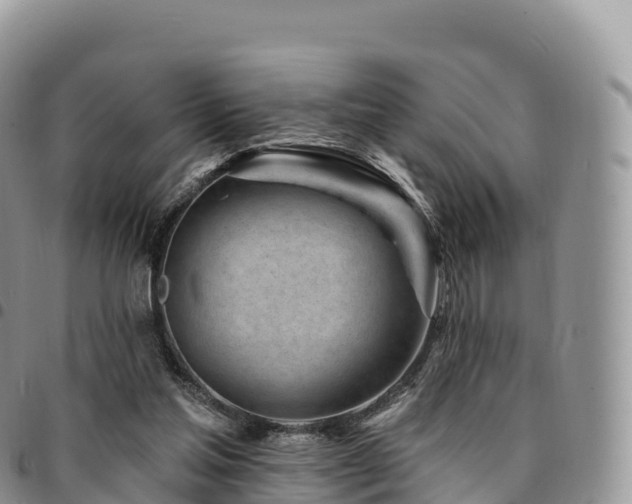 X0000094920205200711291320