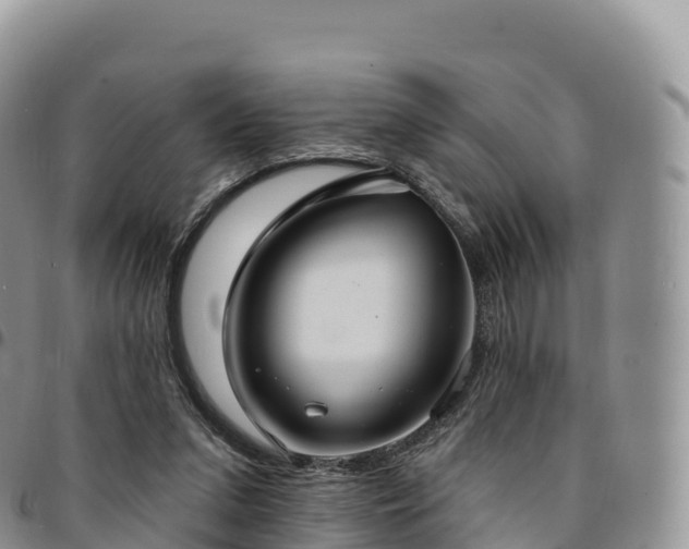 X0000094920207200711291320