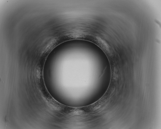 X0000094920210200711291320