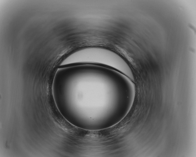 X0000094920211200711291320
