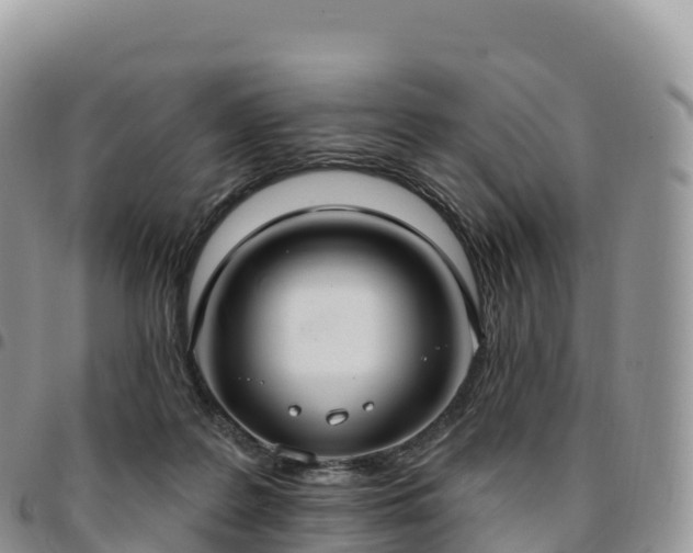 X0000094920219200711291319