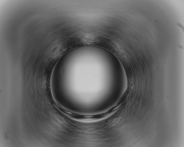 X0000094920221200711291319