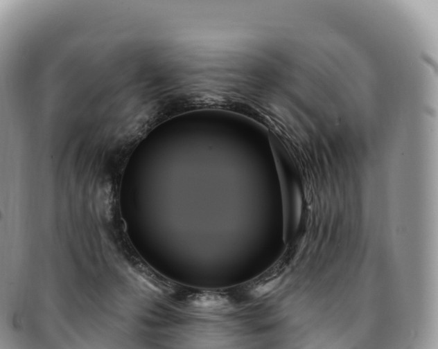 X0000094920223200711291319