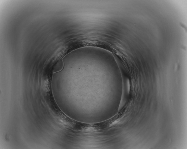 X0000094920224200711291319