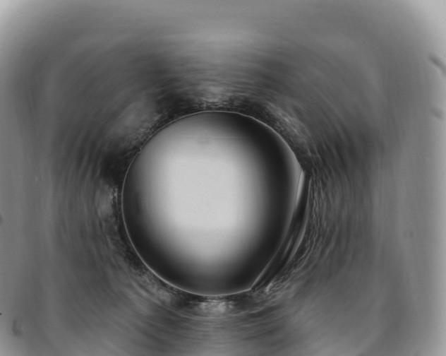 X0000094920225200711291319