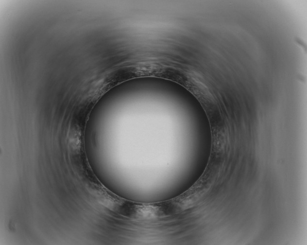 X0000094920226200711291319
