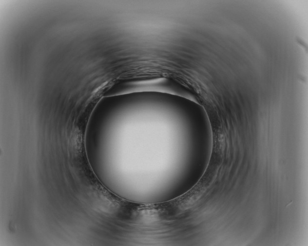 X0000094920228200711291319