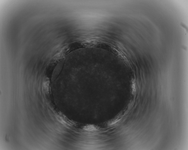 X0000094920231200711291319