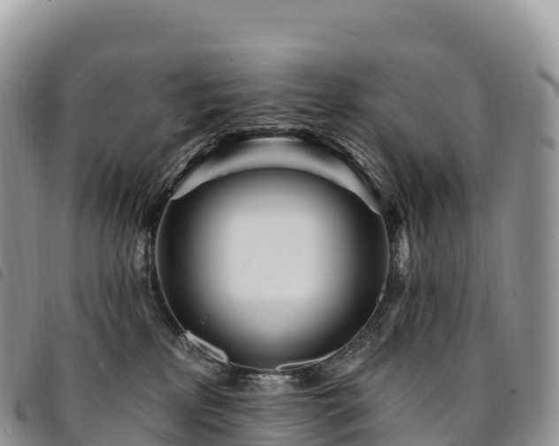 X0000094920233200711291319