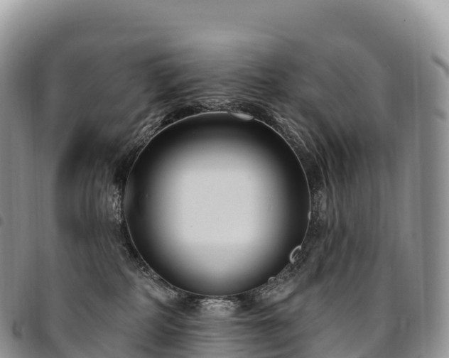 X0000094920234200711291319
