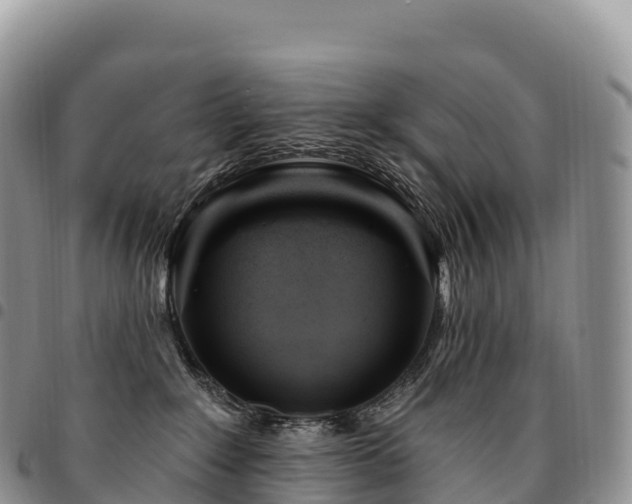 X0000094920235200711291319