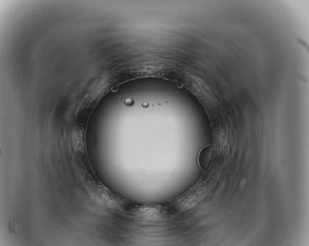 X0000094920236200711291319