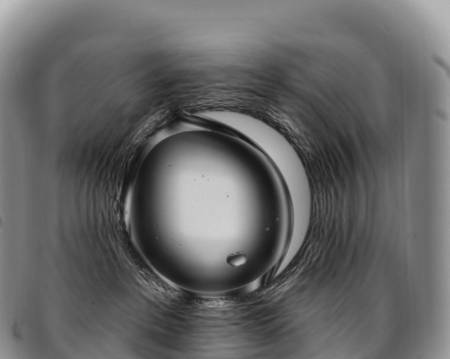 X0000094920237200711291319