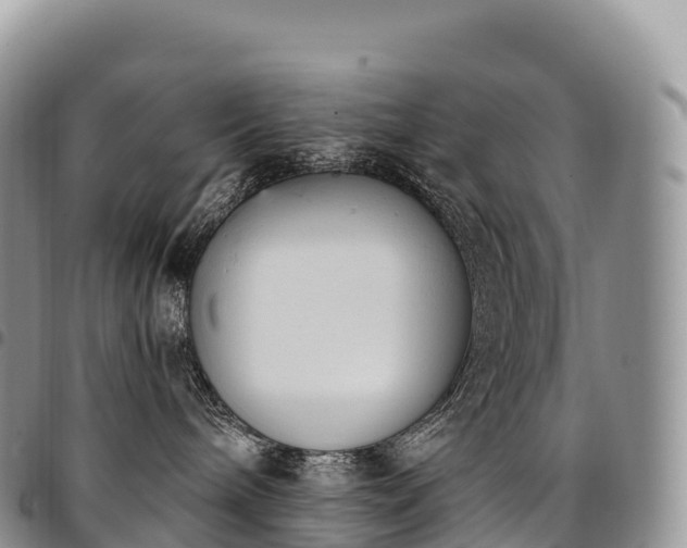 X0000094920240200711291319