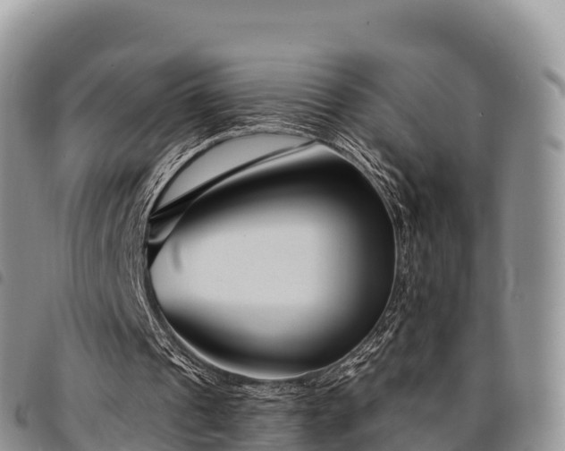 X0000094920241200711291318