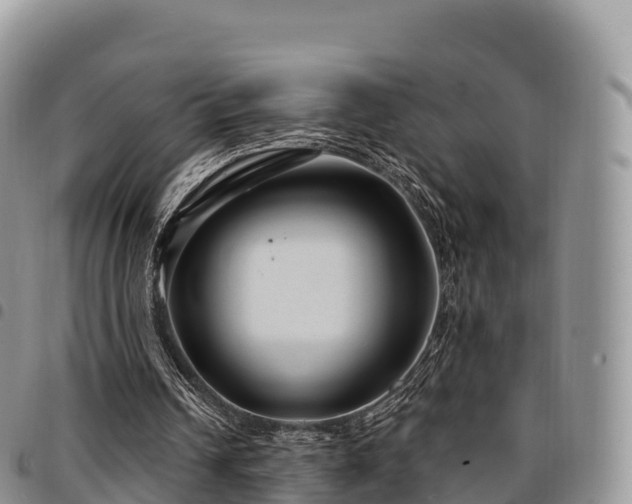 X0000094920242200711291318