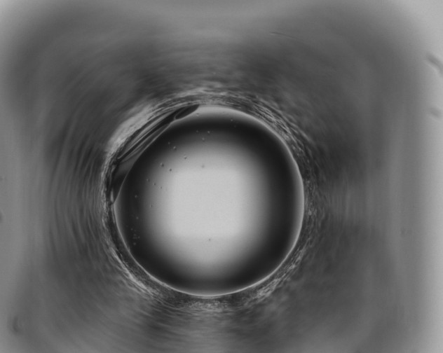 X0000094920245200711291319