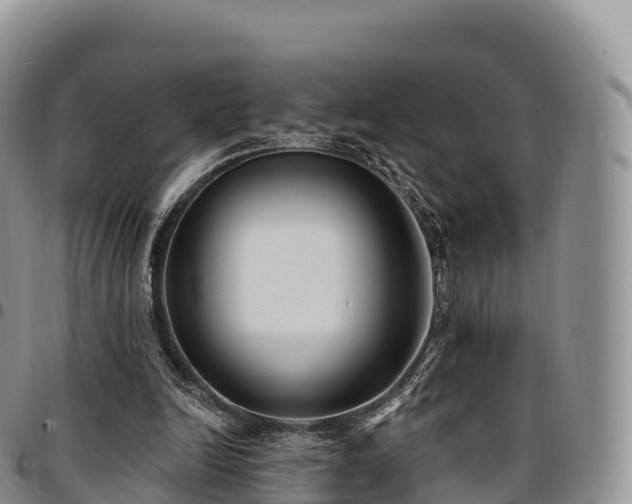 X0000094920246200711291319