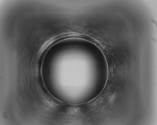 X0000094920247200711291319