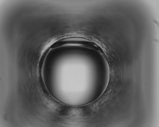 X0000094920248200711291319