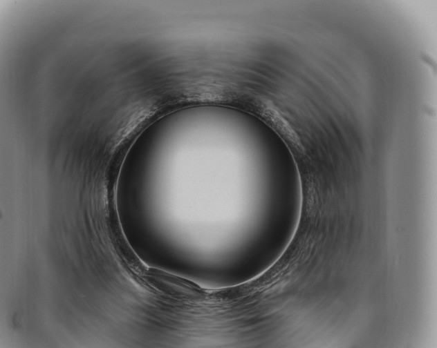 X0000094920251200711291319