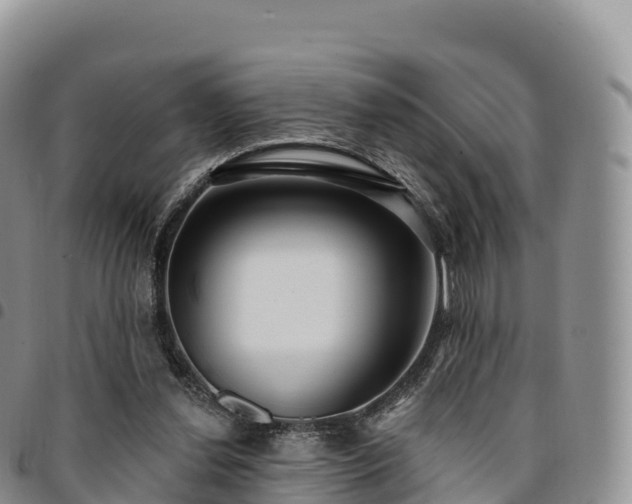 X0000094920252200711291319
