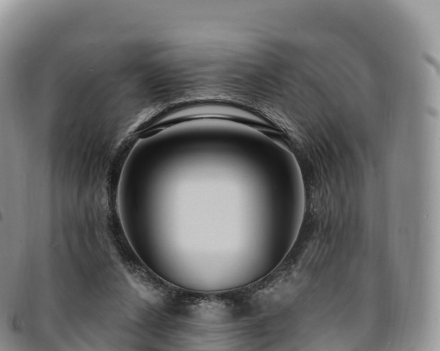 X0000094920256200711291319