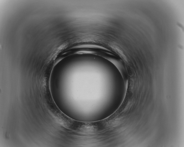 X0000094920260200711291319