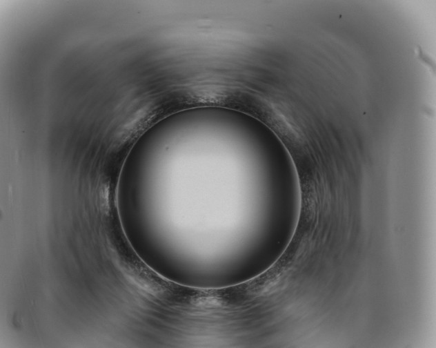 X0000094920262200711291319