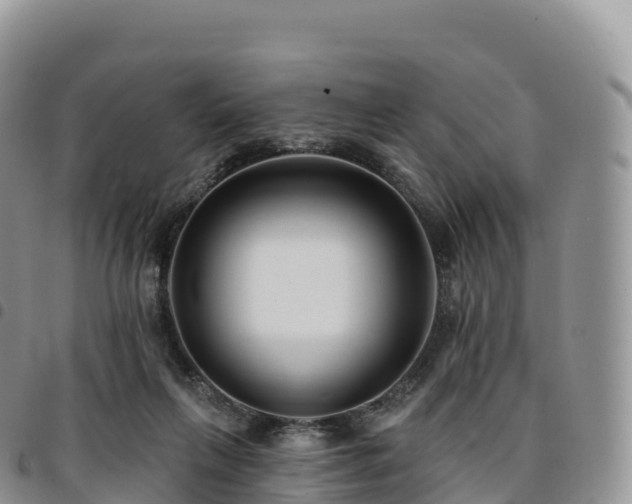 X0000094920263200711291319