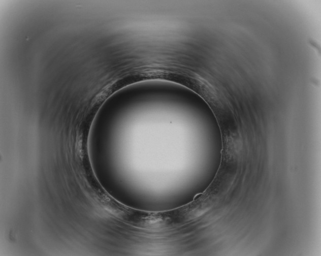 X0000094920267200711291319