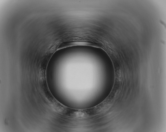 X0000094920272200711291319