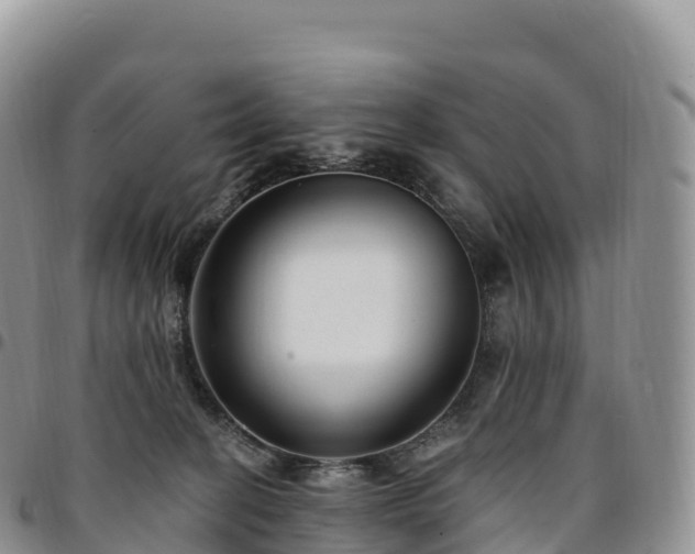 X0000094920274200711291319
