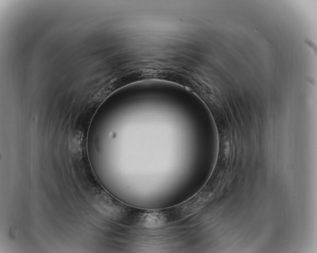 X0000094920275200711291319
