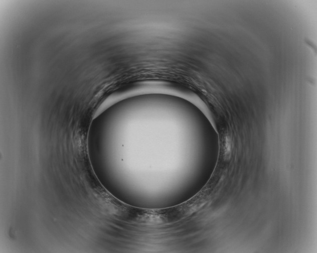 X0000094920276200711291319