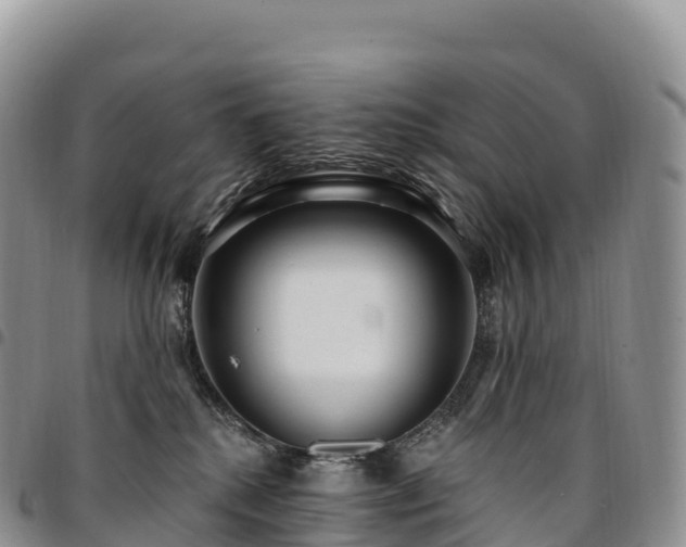 X0000094920280200711291319